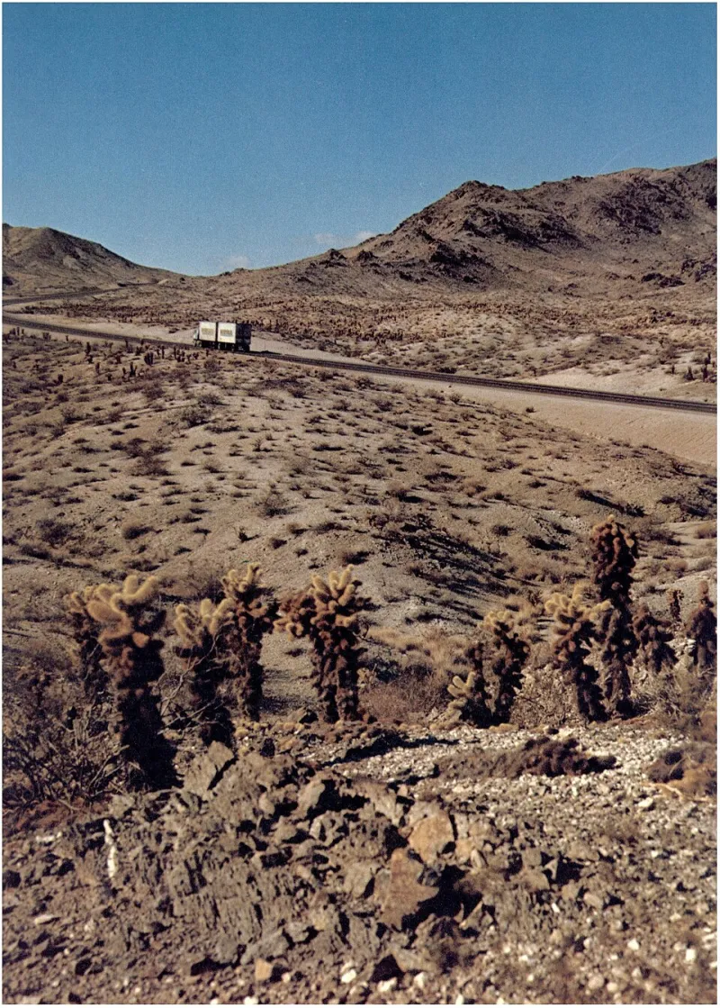 Blood, Sand, and Storylines: Why Southwest Crime Fiction Owns the Cultural Conversation